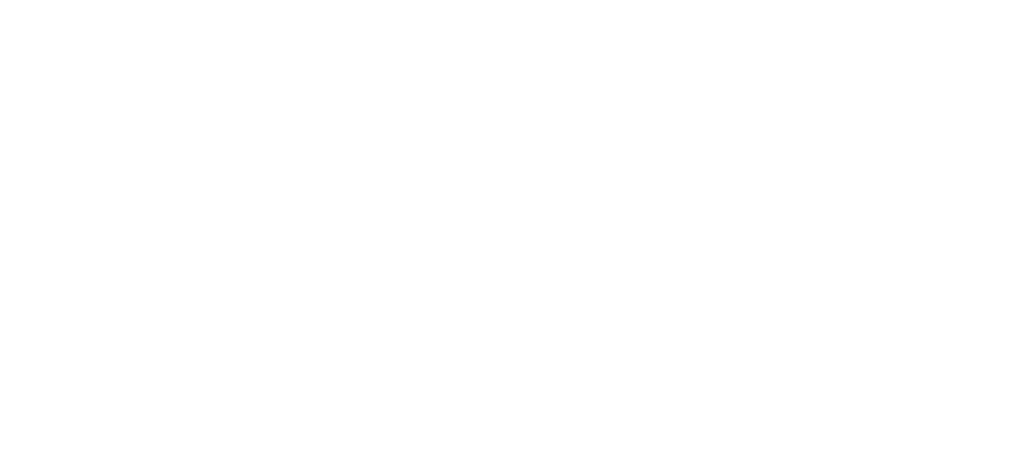 GNI Transparent